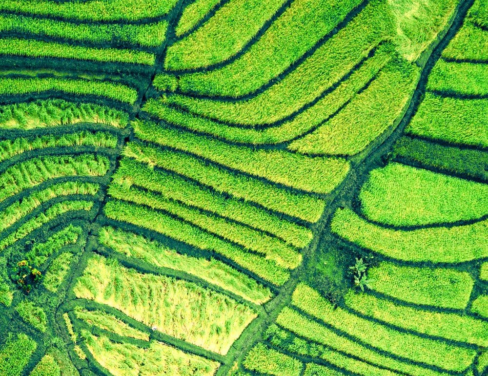 timber and agriculture header image - JLB, Best Web Design and Web Development Company in Nashville, Brentwood, and Franklin