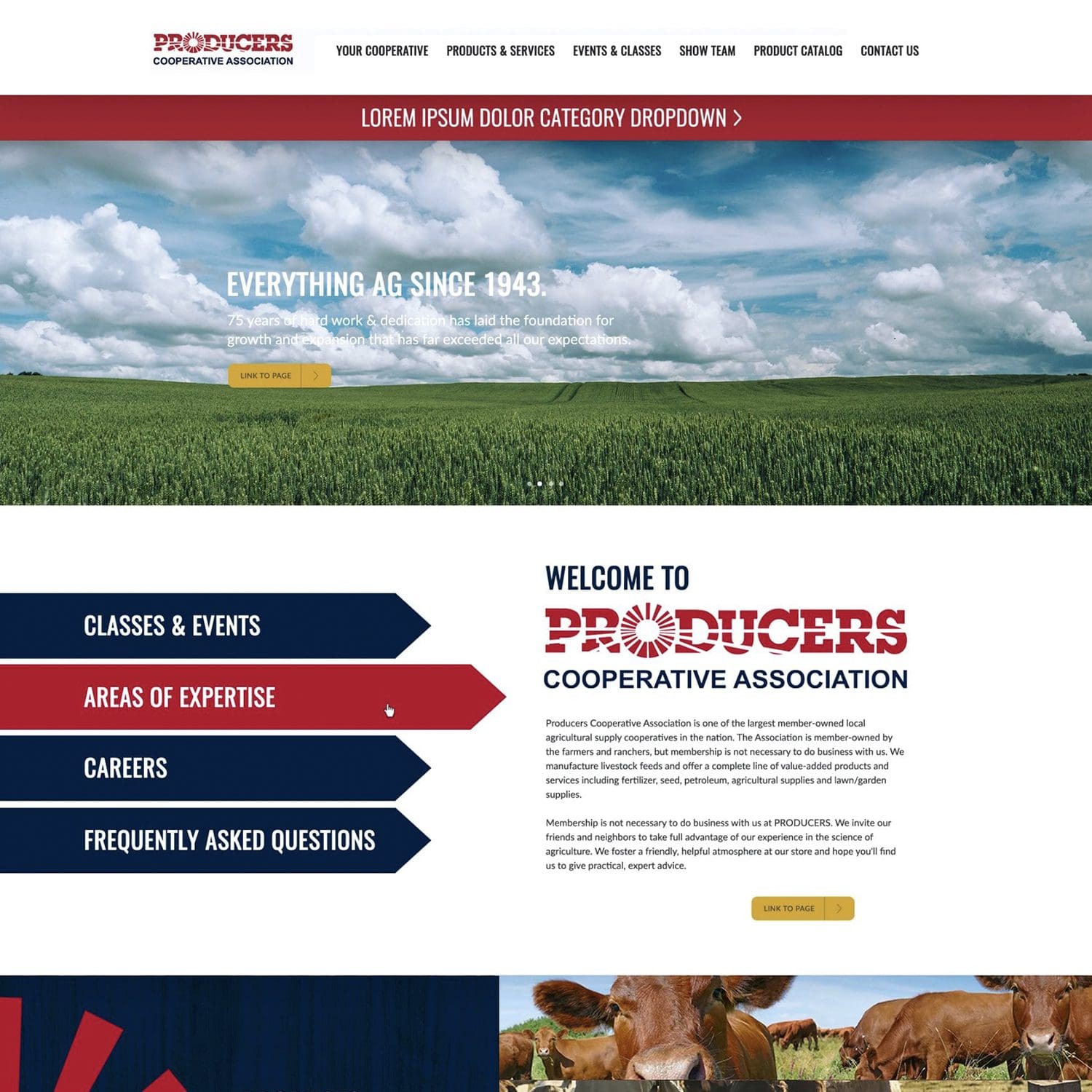 producers association website - JLB, Best Web Design and Web Development Company in Nashville, Brentwood, and Franklin