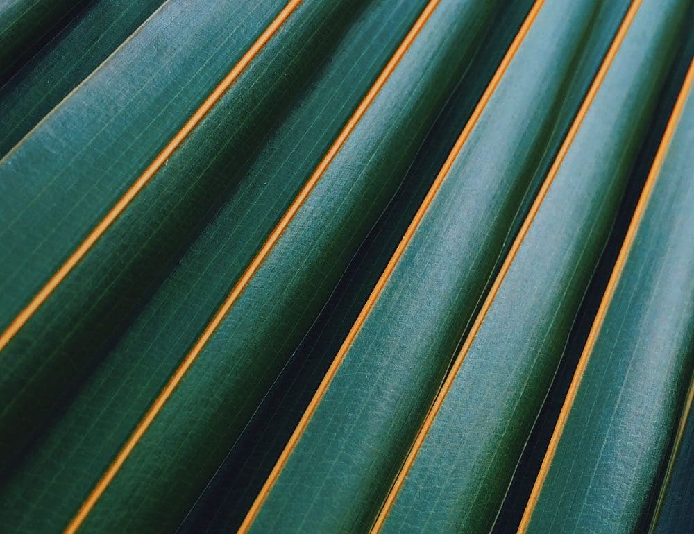 skincare boutique header - JLB, Best Web Design and Web Development Company in Nashville, Brentwood, and Franklin