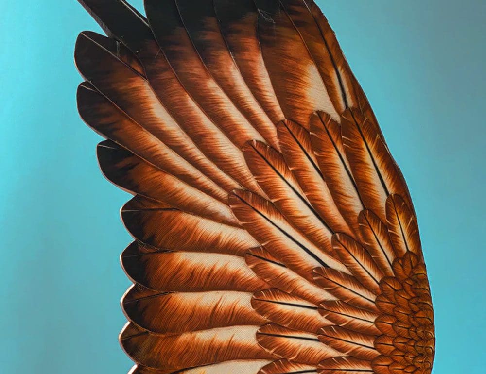 law office of matthew barry header image - JLB, Best Web Design and Web Development Company in Nashville, Brentwood, and Franklinanklin and nashville