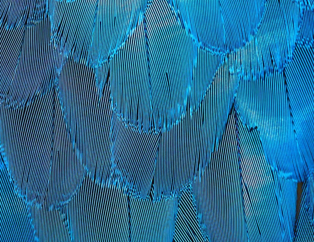 united south and eastern tribes header - JLB, Best Web Design and Web Development Company in Nashville, Brentwood, and Franklin