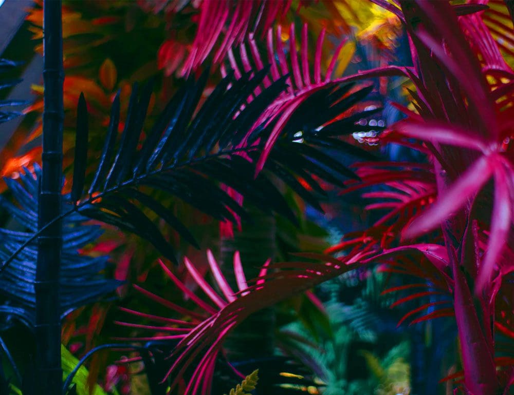 storyville gardens header - JLB, Best Web Design and Web Development Company in Nashville, Brentwood, and Franklin